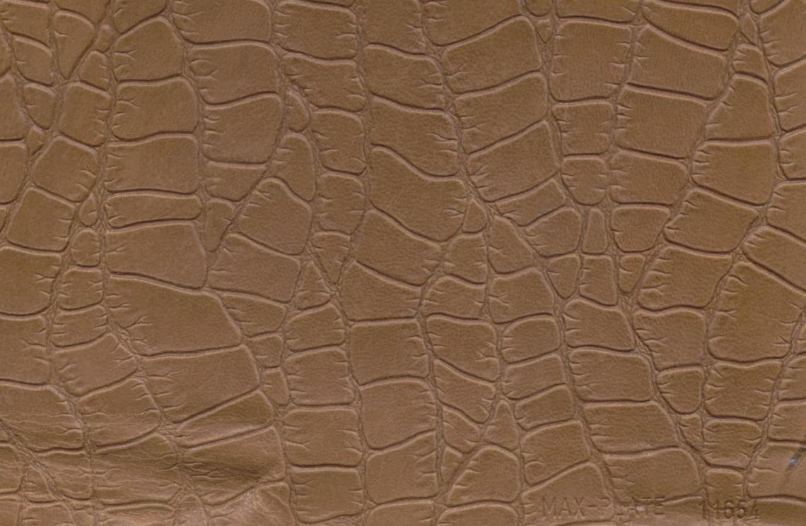 Assumenda accus antium